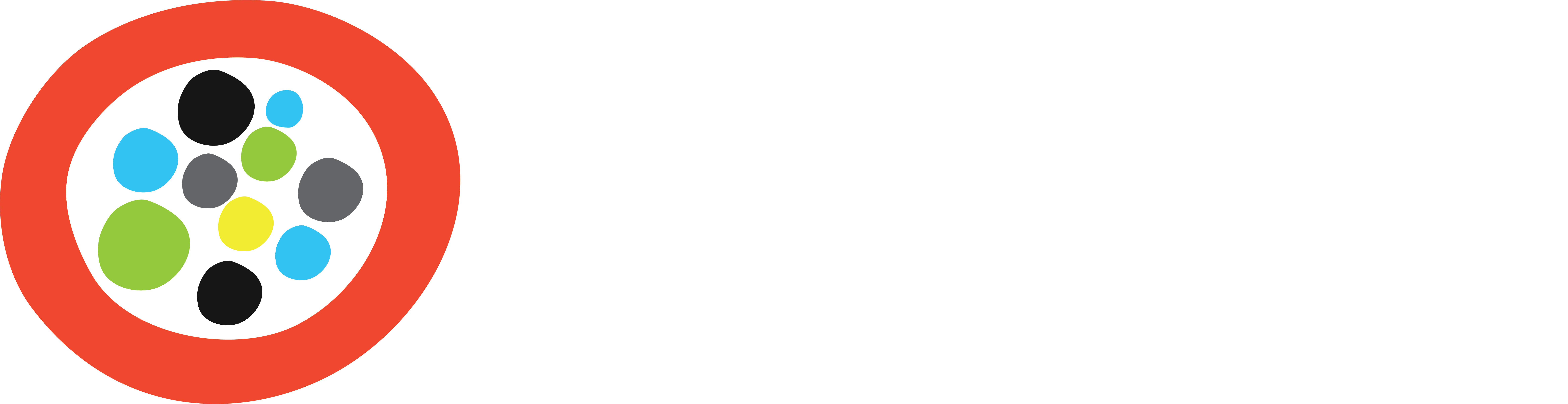 Mindsighters_Logo-rev