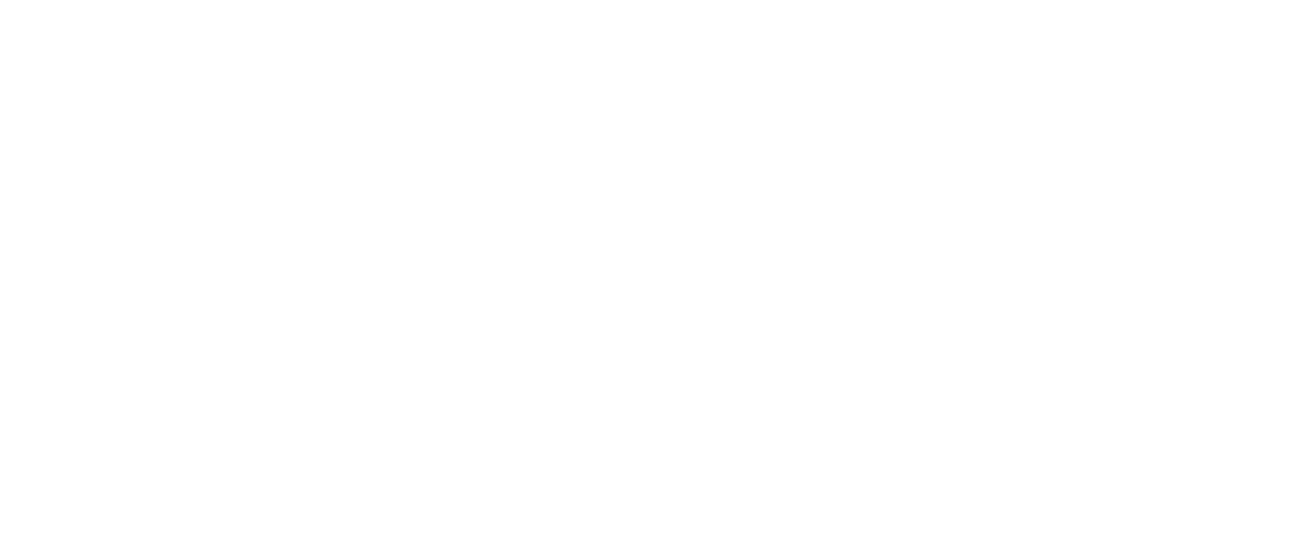 Verizon Frontline
