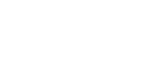 Perkin Elmer