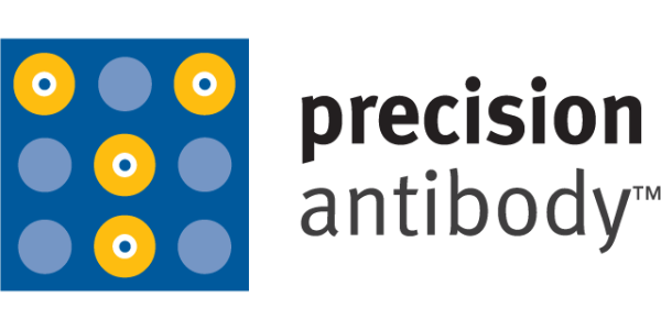 Precision-Antibodye