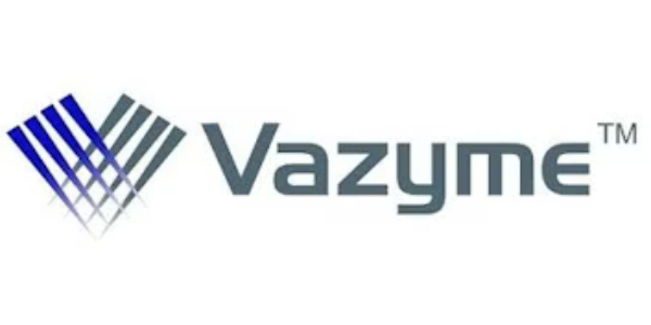 Vazyme_Logo